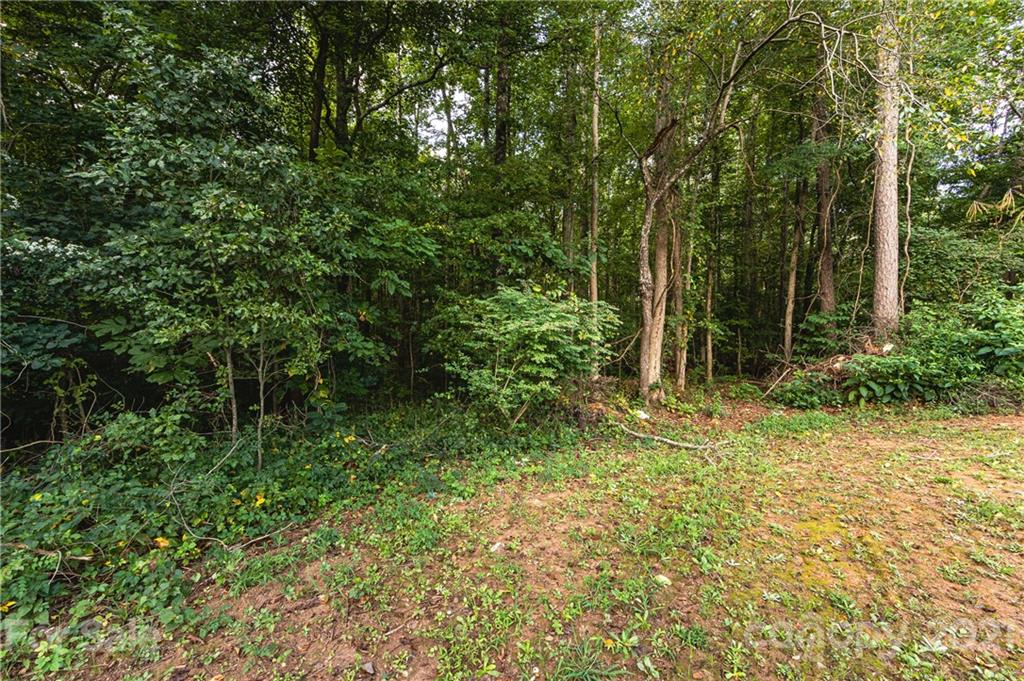 2051 Jim McCarter Road Clover, SC 29710 - Photo 29 of 31 Gallery Image 29