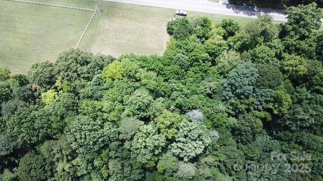 Lot 3 St James Church Road Denver, NC 28037 - Photo 4 of 7