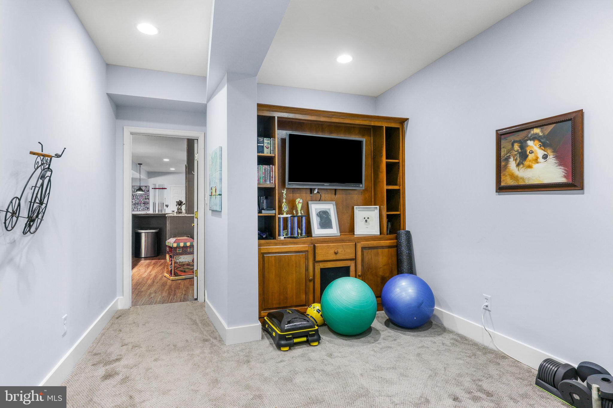 5 Carroll Run Court Phoenix, MD 21131 - Photo 81 of 123