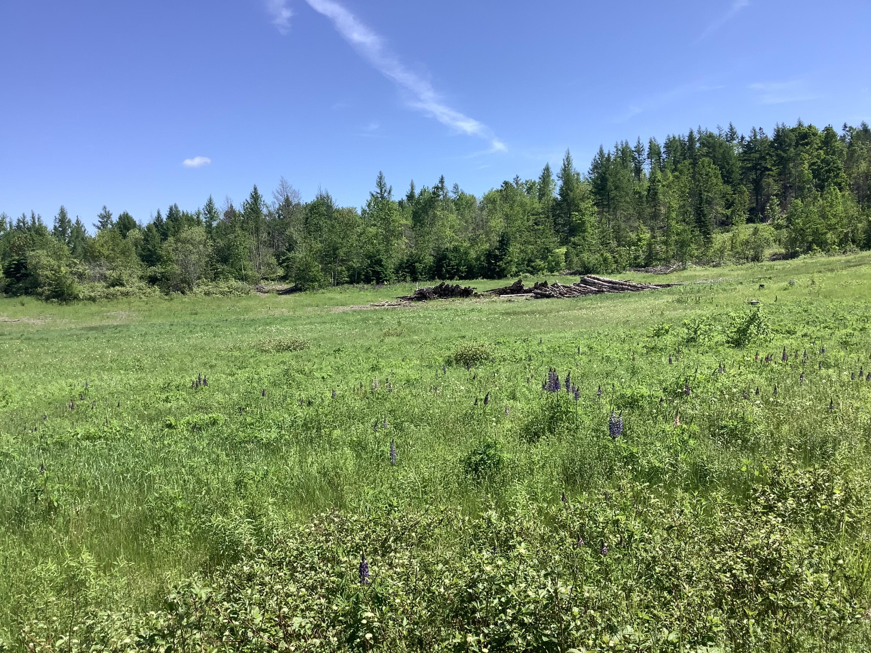 0 West Ridge Road Mars Hill, ME 04758 - Photo 15 of 20 821BC1B8-57DC-4C9F-8423-934F516ABEFA