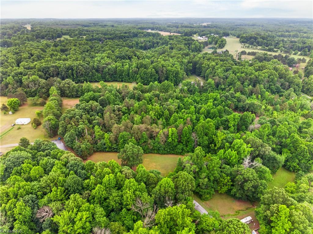 7436 Chaseford Road Liberty, NC 27298 - Photo 10 of 14