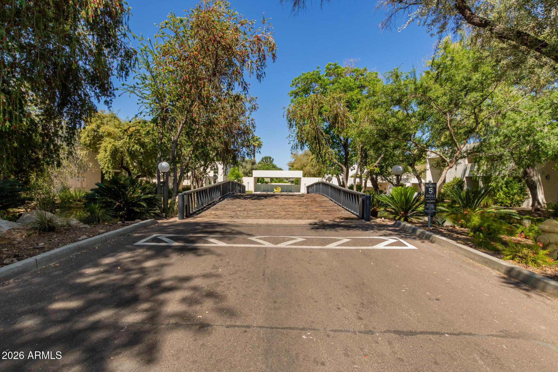 4656 North 40th Street Phoenix, AZ 85018 - Photo 28 of 28 a view of a yard with plants and trees