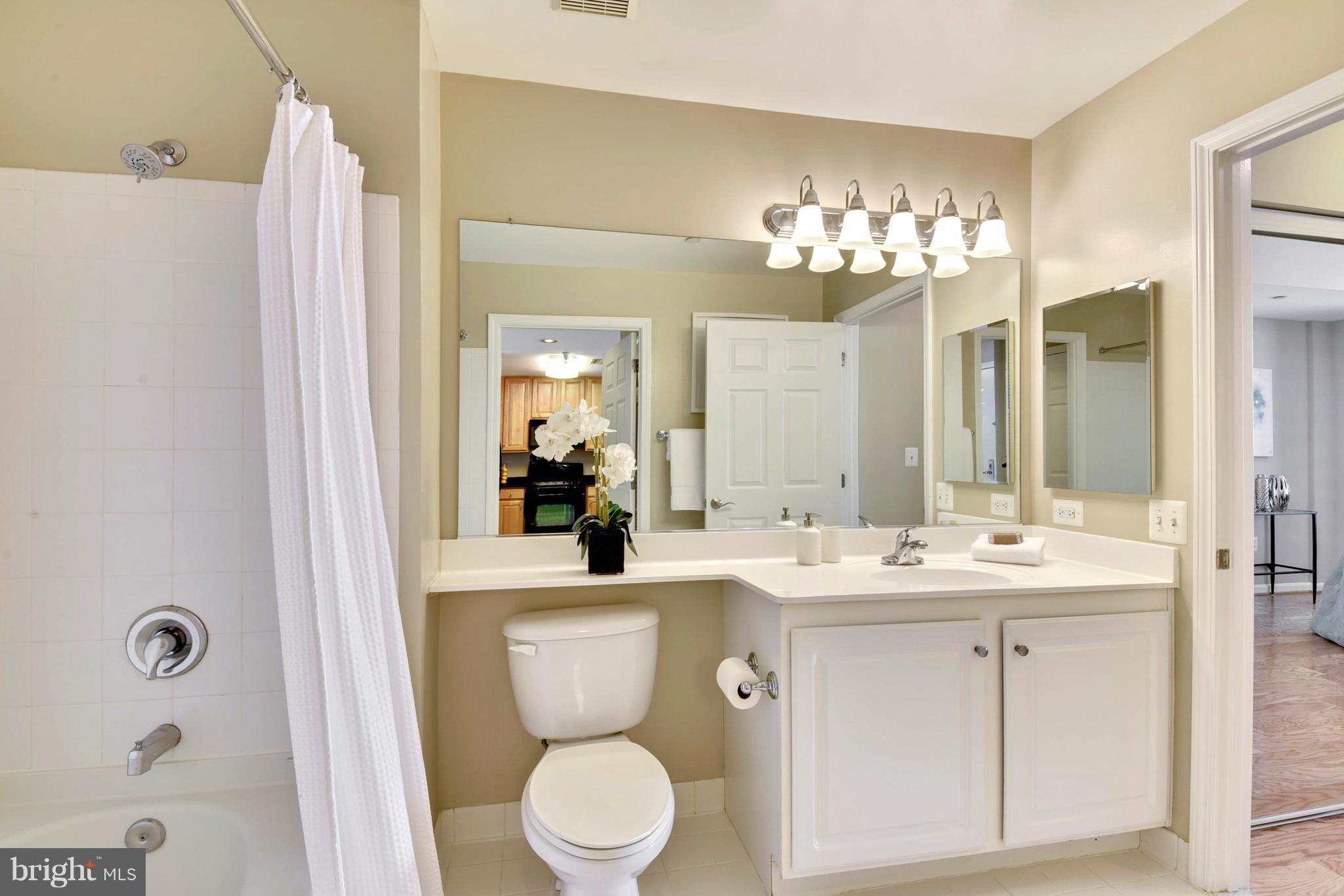 11710 Old Georgetown Road, Unit 1425 North Bethesda, MD 20852 - Photo 14 of 23 Bath