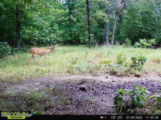 Lot 10 Copperstone Road Camdenton, MO 65020 - Photo 1 of 10