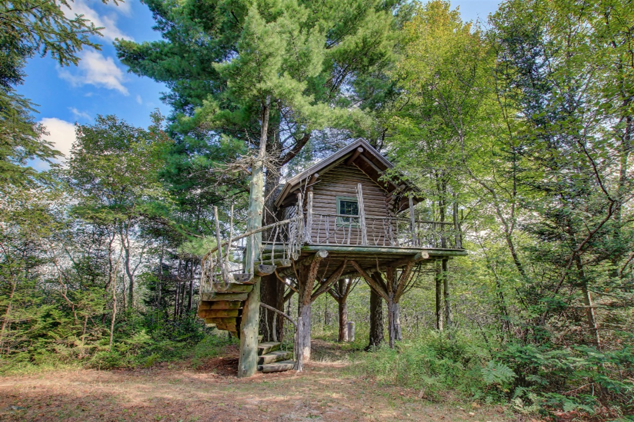 779 North Sharon Road Southeast Fife Lake, MI 49633 - Photo 1 of 27