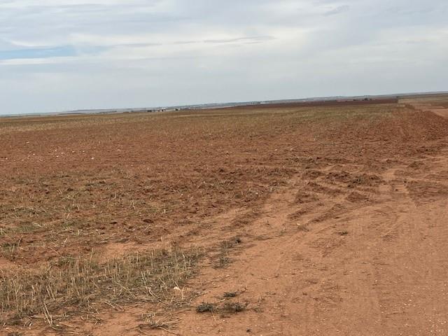 611 W West Rotan, TX 79546 - Photo 15 of 16