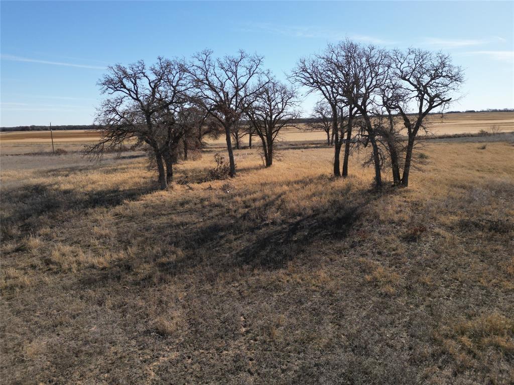1235 County Road 226 Rising Star, TX 76471 - Photo 1 of 14 a view of outdoor space with trees