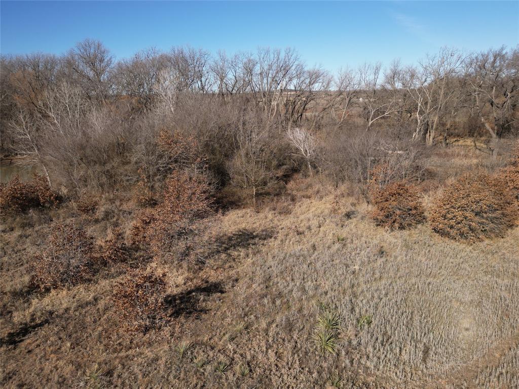 1235 County Road 226 Rising Star, TX 76471 - Photo 11 of 14 a view of a dry yard with trees