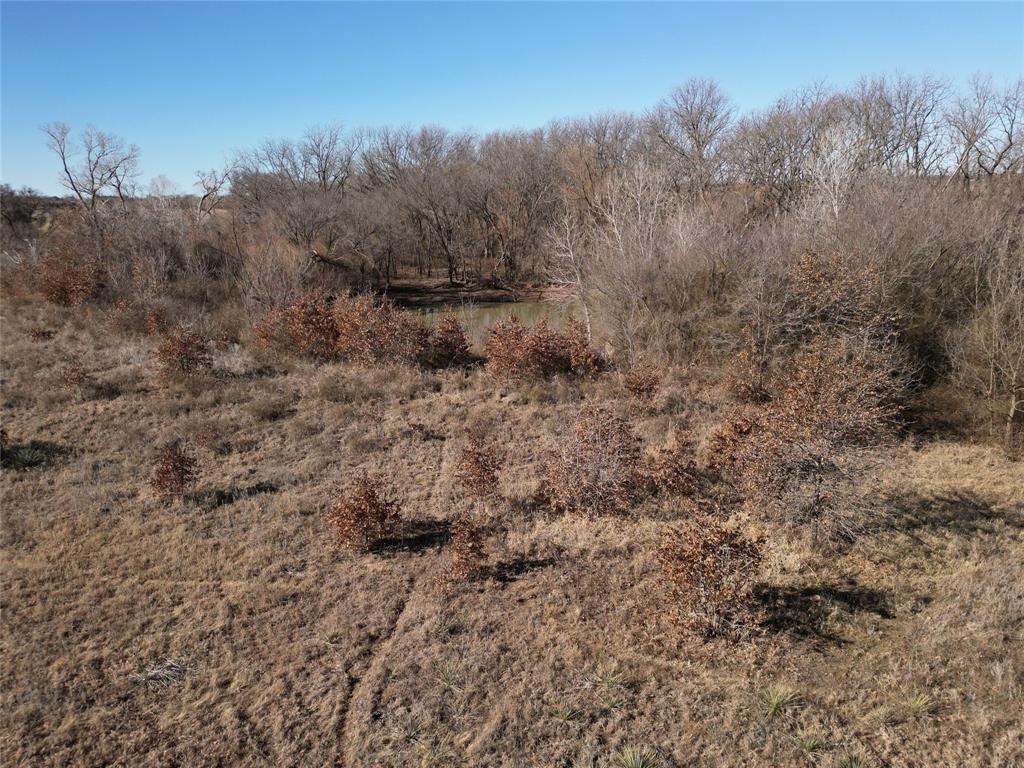 1235 County Road 226 Rising Star, TX 76471 - Photo 12 of 14 a view of a dry yard