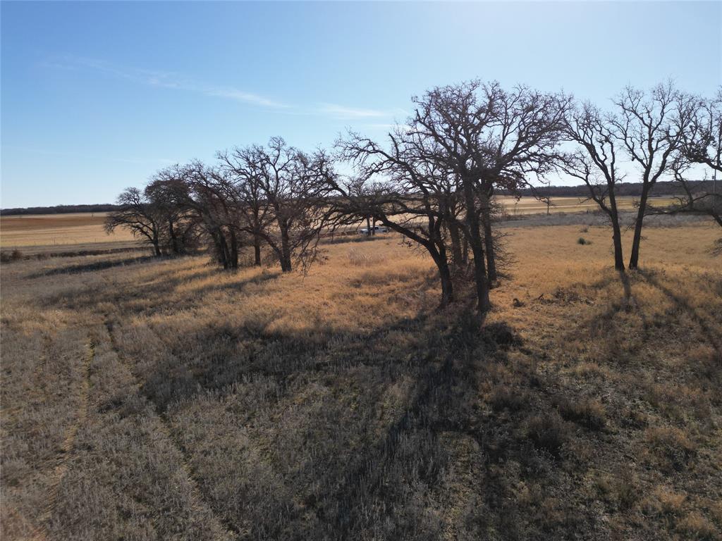 1235 County Road 226 Rising Star, TX 76471 - Photo 2 of 14 a view of a yard with trees