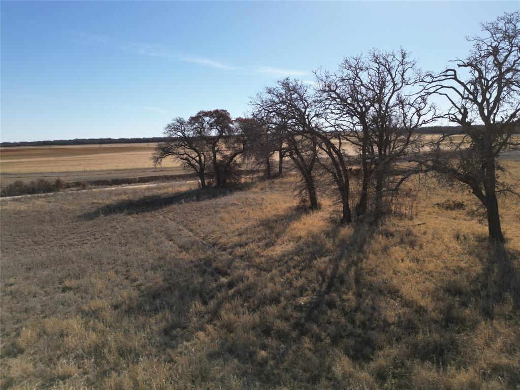 1235 County Road 226 Rising Star, TX 76471 - Photo 3 of 14 a view of a yard with a trees