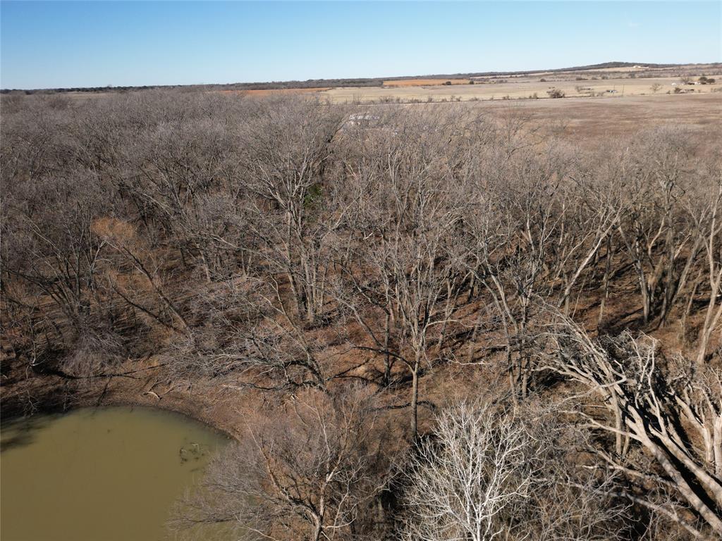 1235 County Road 226 Rising Star, TX 76471 - Photo 5 of 14 a view of a dry yard with wooden floor and fence