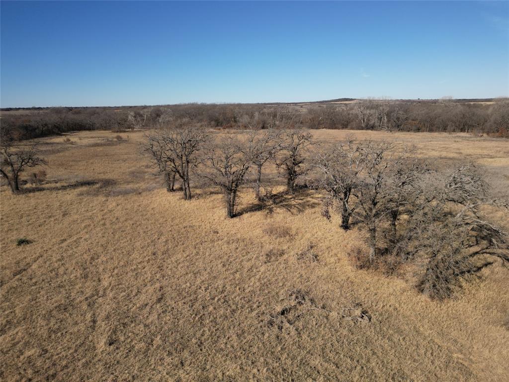 1235 County Road 226 Rising Star, TX 76471 - Photo 8 of 14