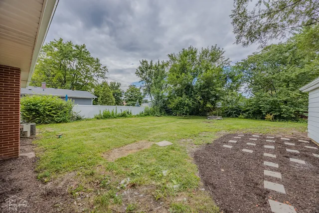 a view of a yard with plants and large trees