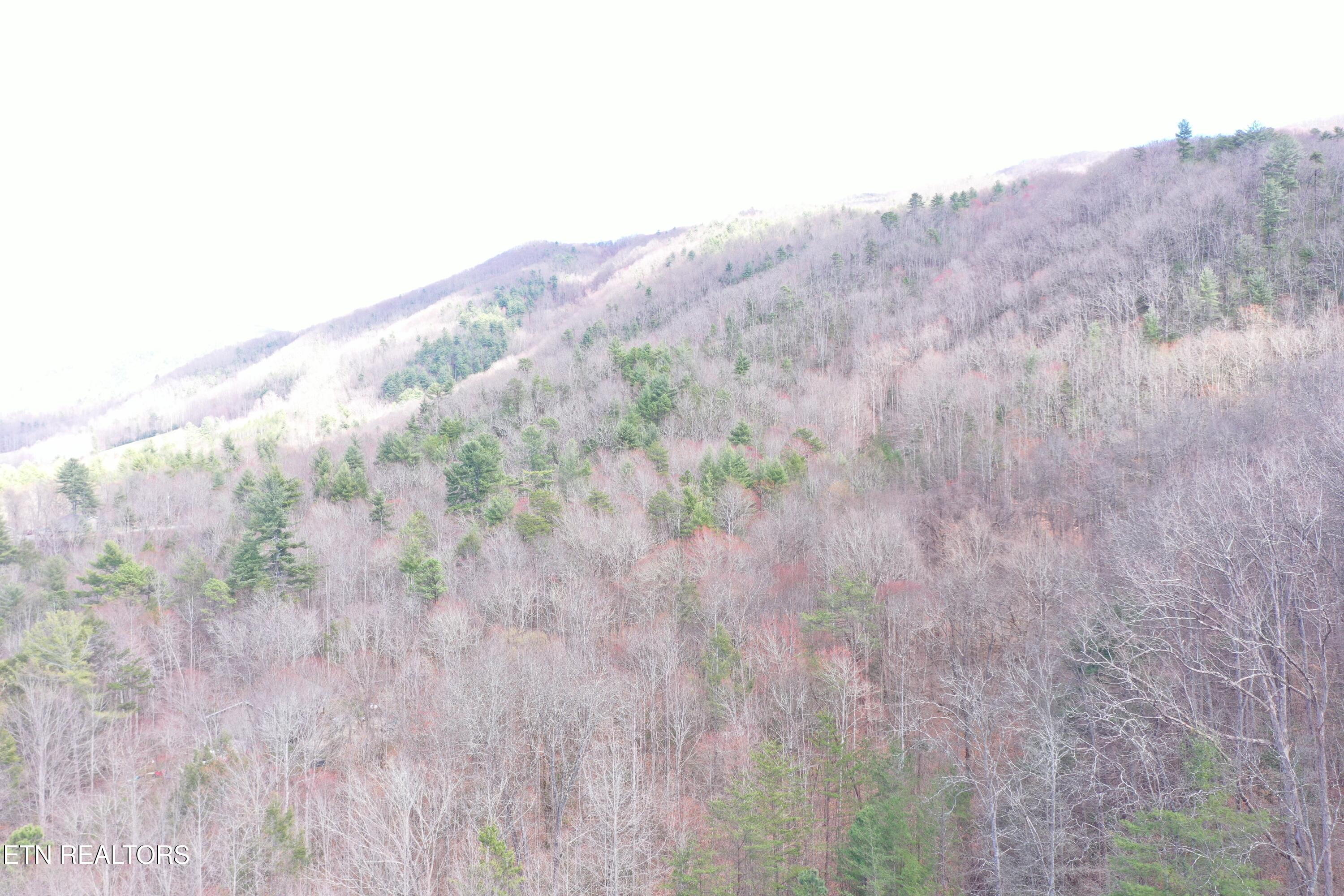 Round Mountain Del Rio, TN 37727 - Photo 7 of 18 DJI_0228