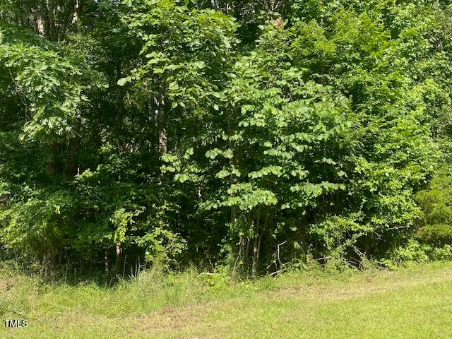 $46,000 | Lot 3 Uzzle Road, Rougemont, NC 27572