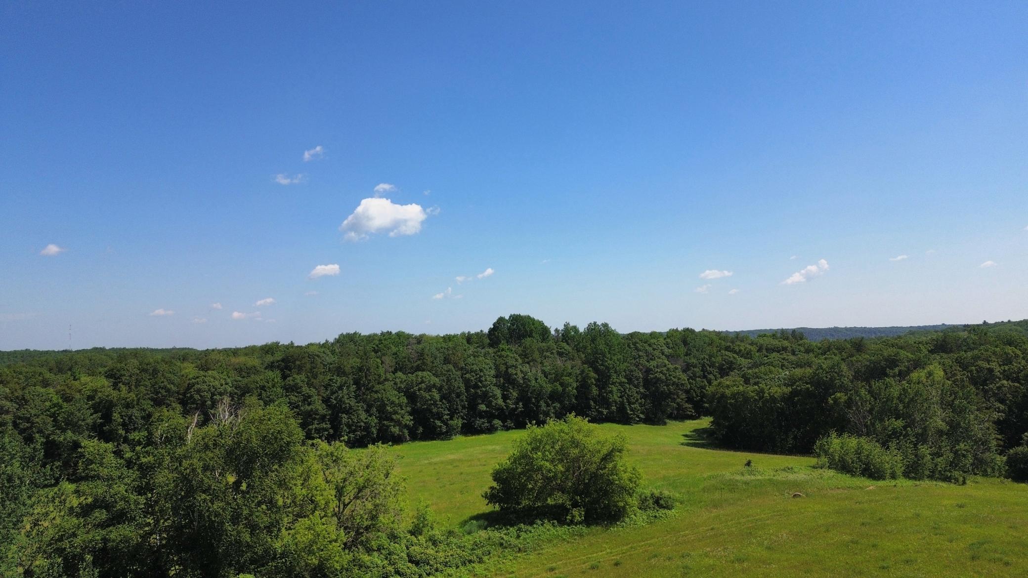 34497 Quiken Road Cushing, MN 56443 - Photo 2 of 39