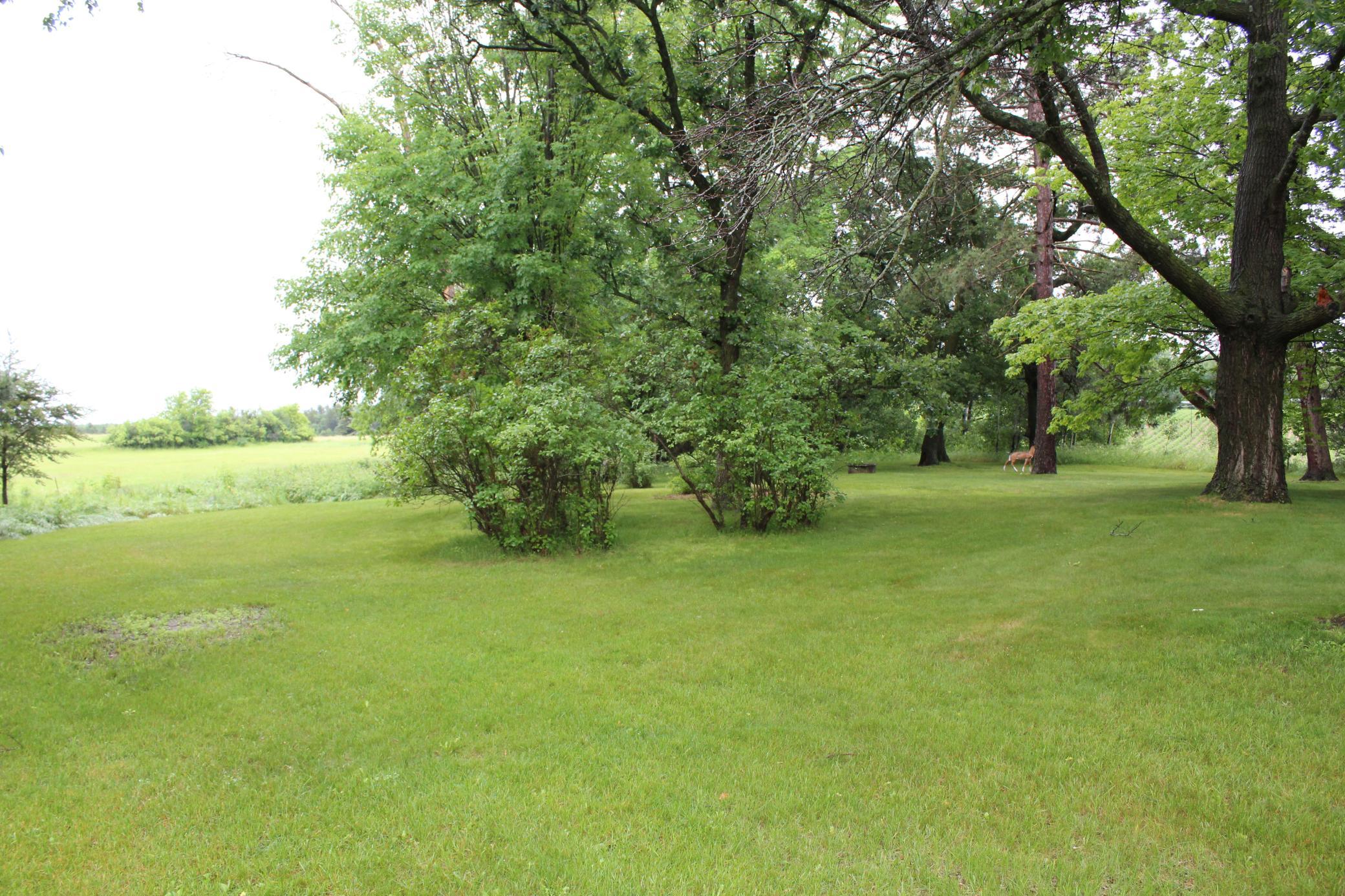 34497 Quiken Road Cushing, MN 56443 - Photo 34 of 39