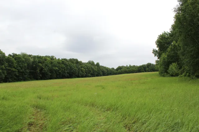 $650,000 | 34497 Quiken Road, Cushing, MN 56443