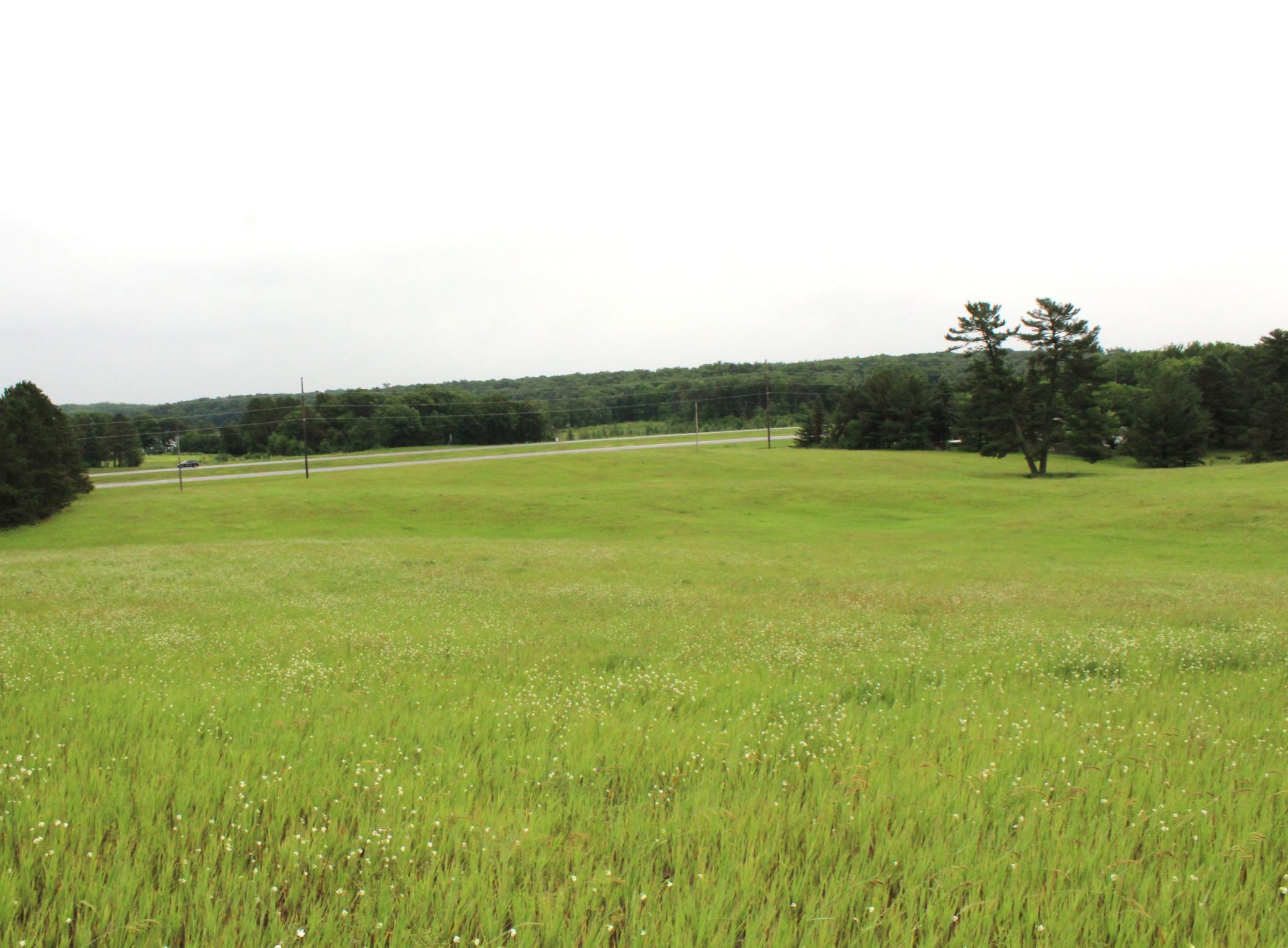 34497 Quiken Road Cushing, MN 56443 - Photo 37 of 39