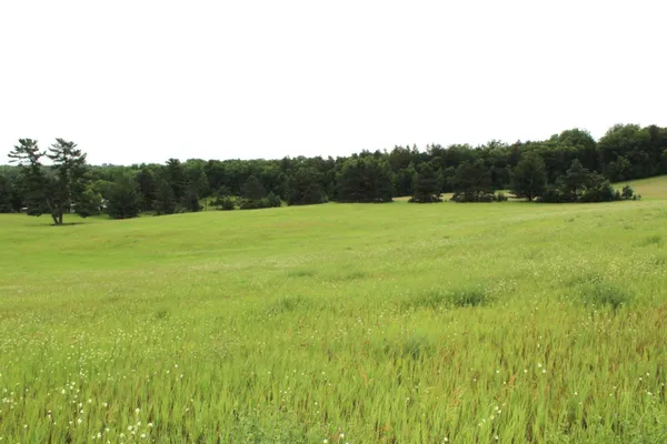 $650,000 | 34497 Quiken Road, Cushing, MN 56443