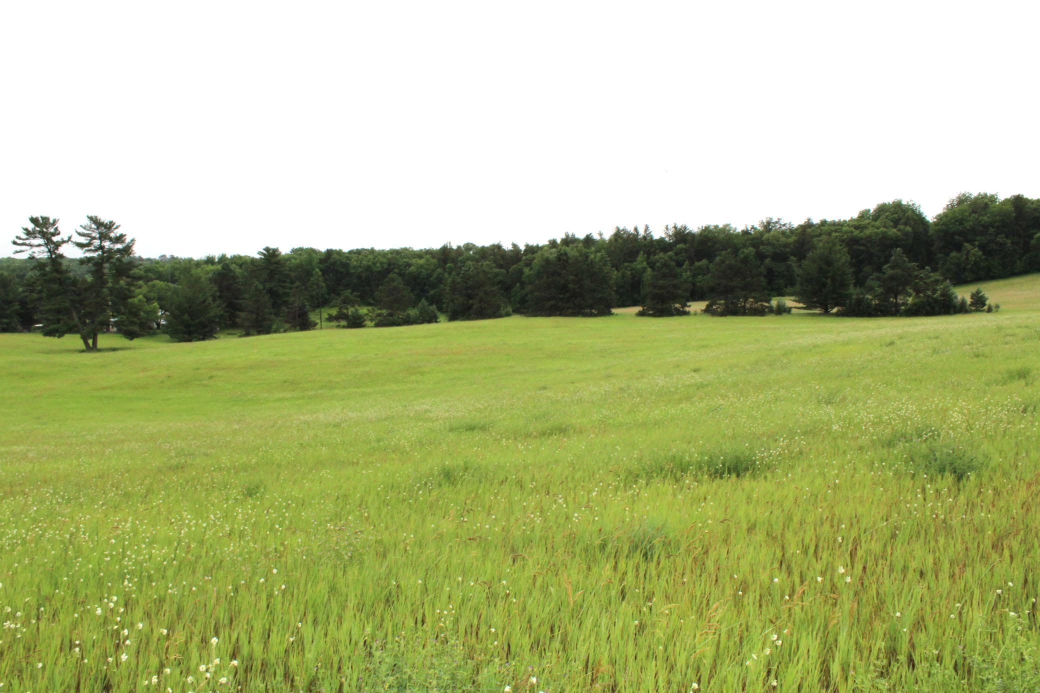 34497 Quiken Road Cushing, MN 56443 - Photo 38 of 39