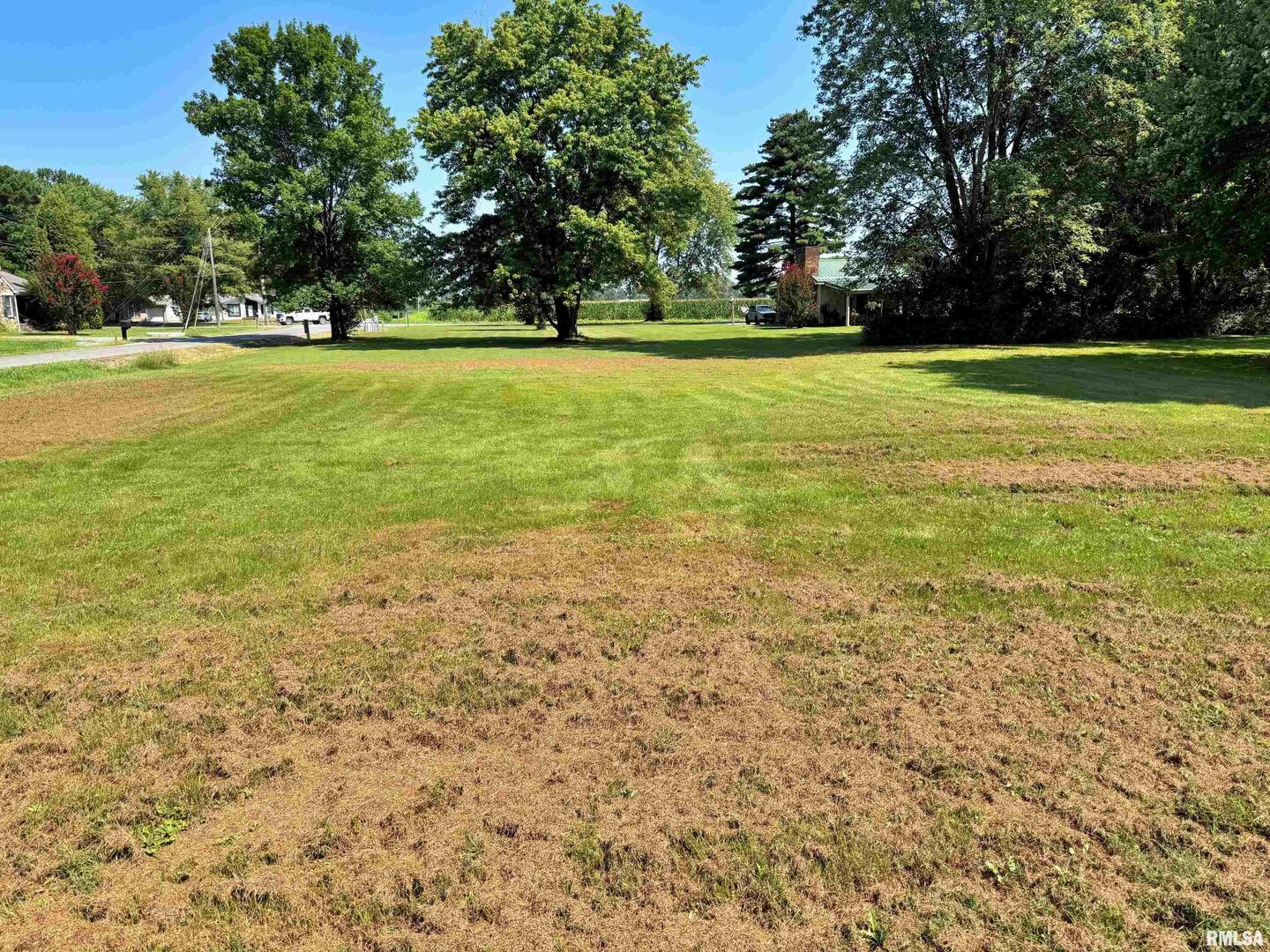 798 Airport Road Metropolis, IL 62960 - Photo 19 of 19 a view of a green field with an trees