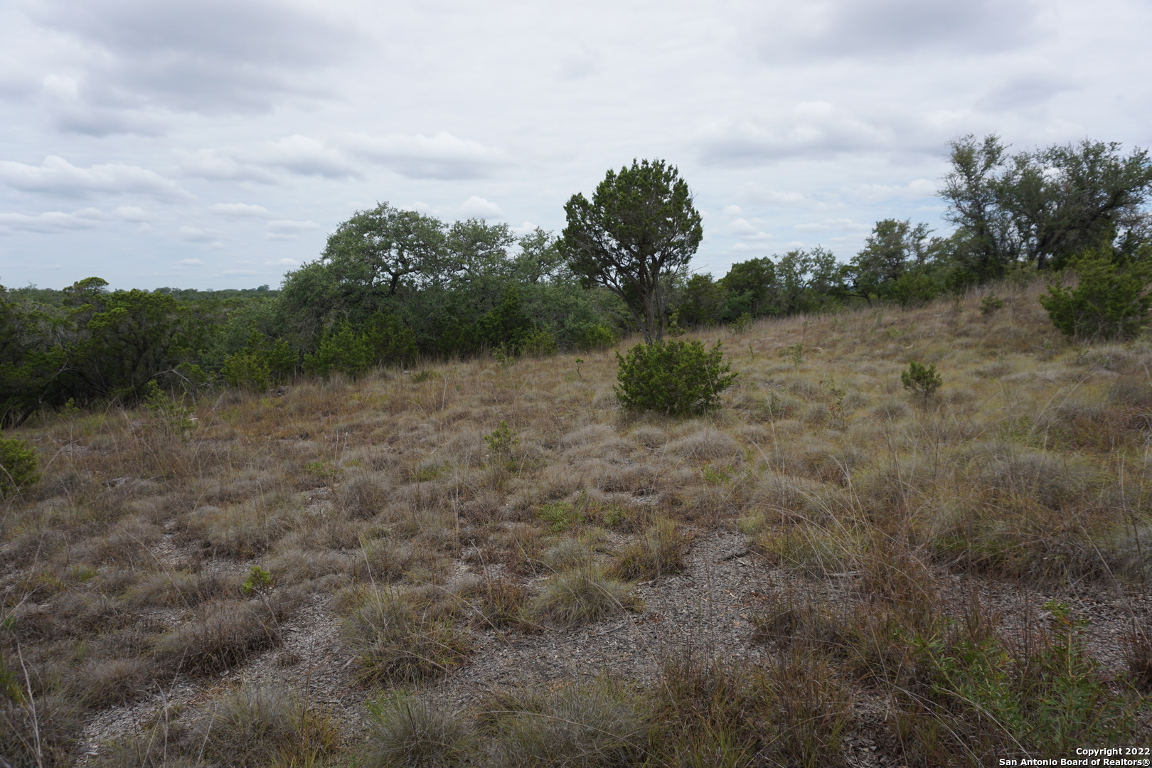 127 Leaders Hill Road Wimberley, TX 78676 - Photo 28 of 43 a view of a lake with green space
