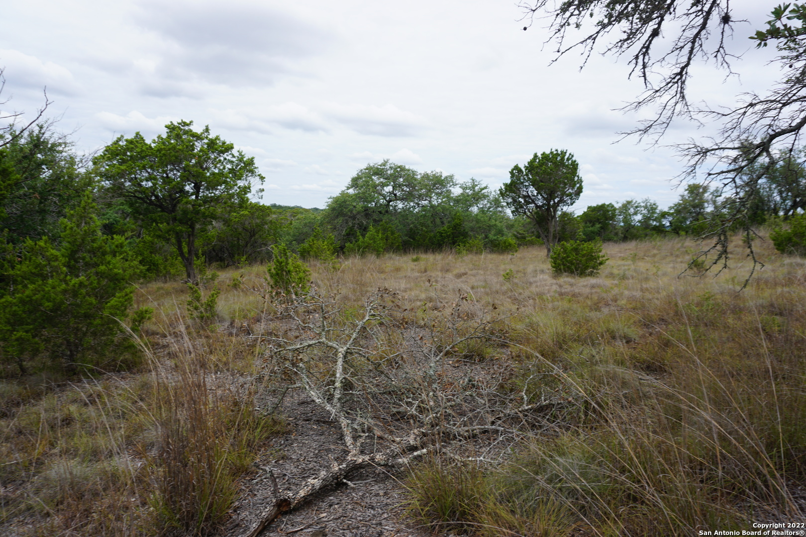 127 Leaders Hill Road Wimberley, TX 78676 - Photo 29 of 43 a view of a lake with lots of green space