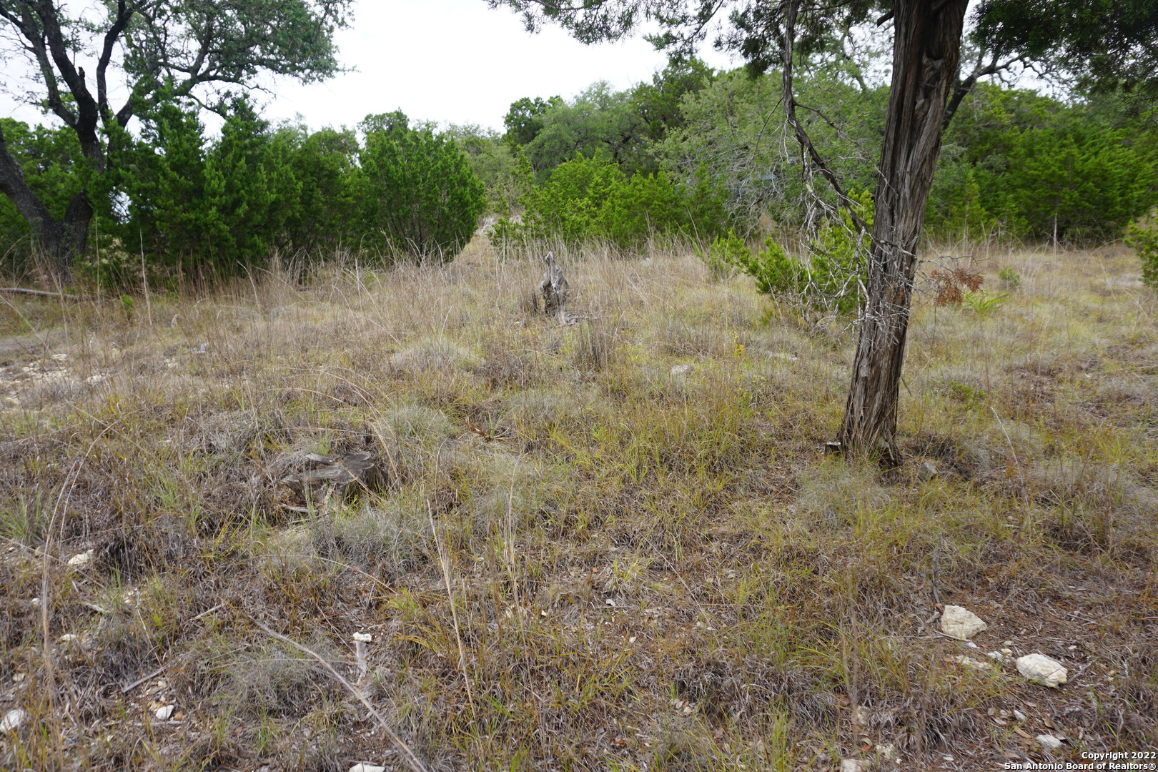127 Leaders Hill Road Wimberley, TX 78676 - Photo 30 of 43 a view of a lush green forest with lots of trees