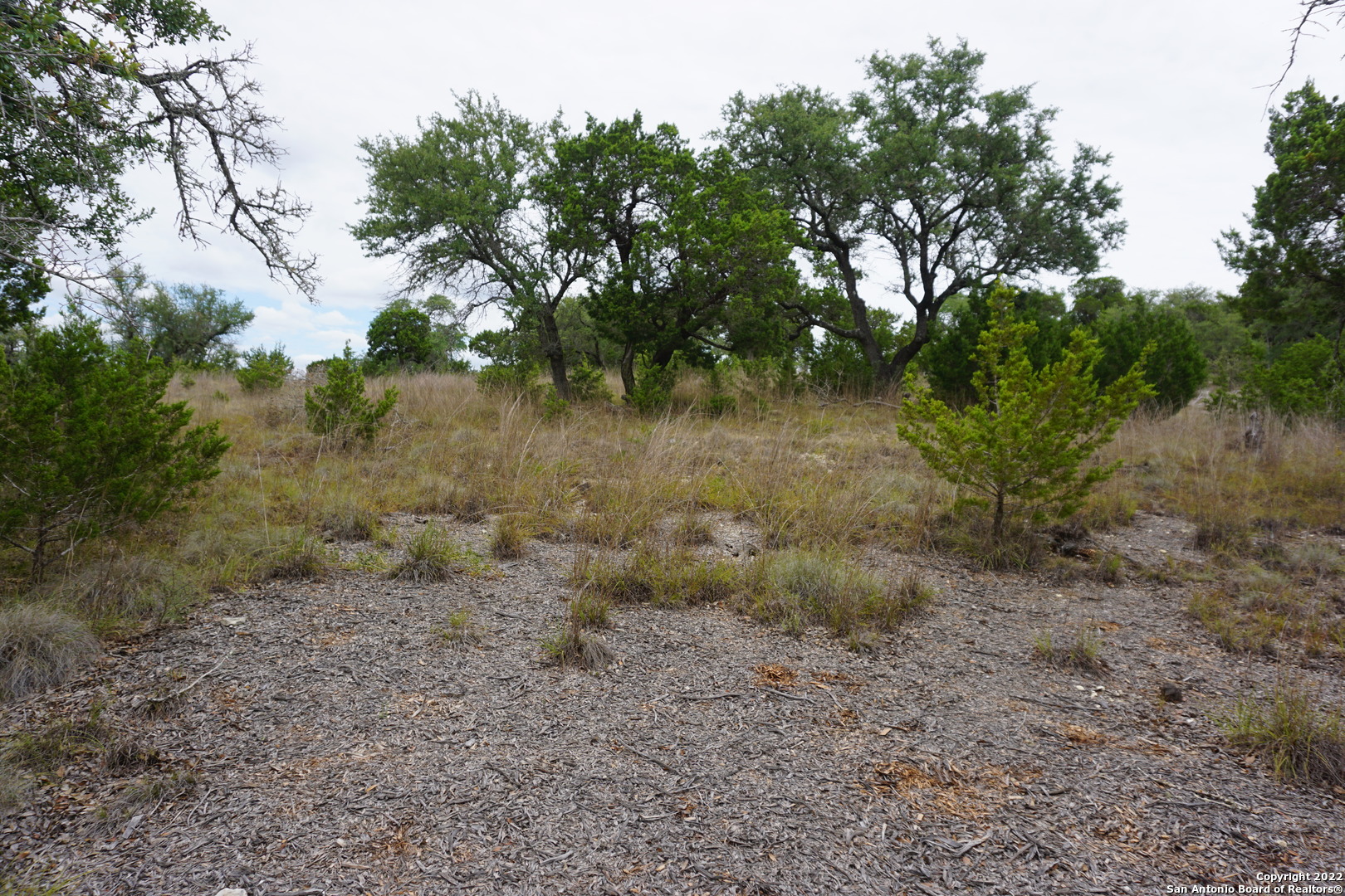 127 Leaders Hill Road Wimberley, TX 78676 - Photo 33 of 43 a view of a yard