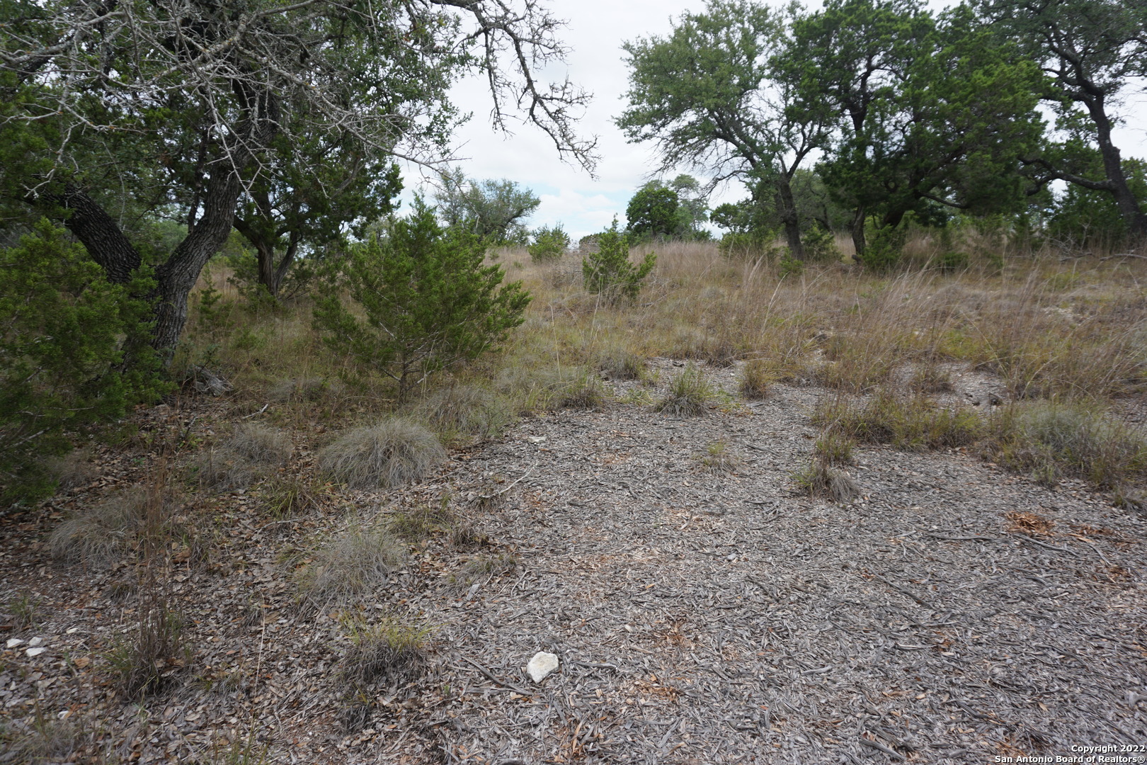 127 Leaders Hill Road Wimberley, TX 78676 - Photo 34 of 43 a view of a forest with trees in the background