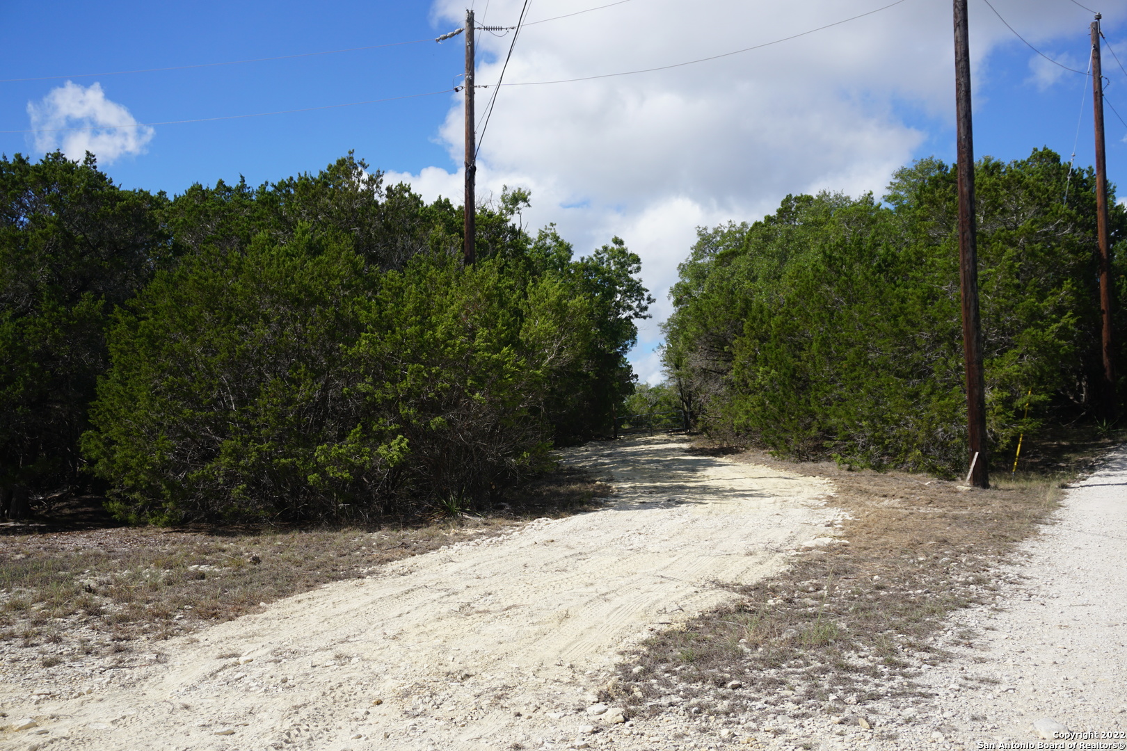 127 Leaders Hill Road Wimberley, TX 78676 - Photo 8 of 43 a view of a yard with plants and a tree