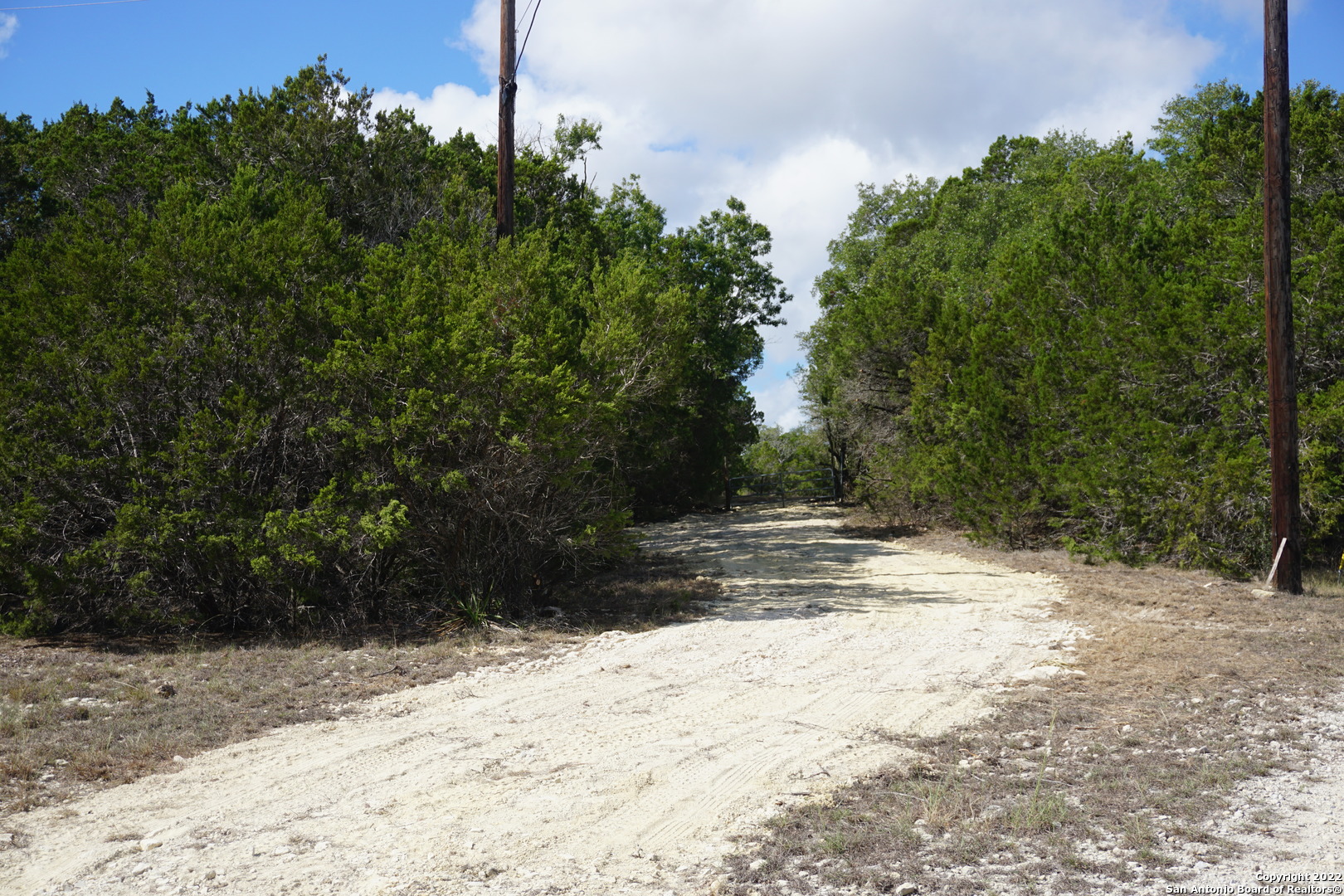 127 Leaders Hill Road Wimberley, TX 78676 - Photo 9 of 43 a view of a yard with trees