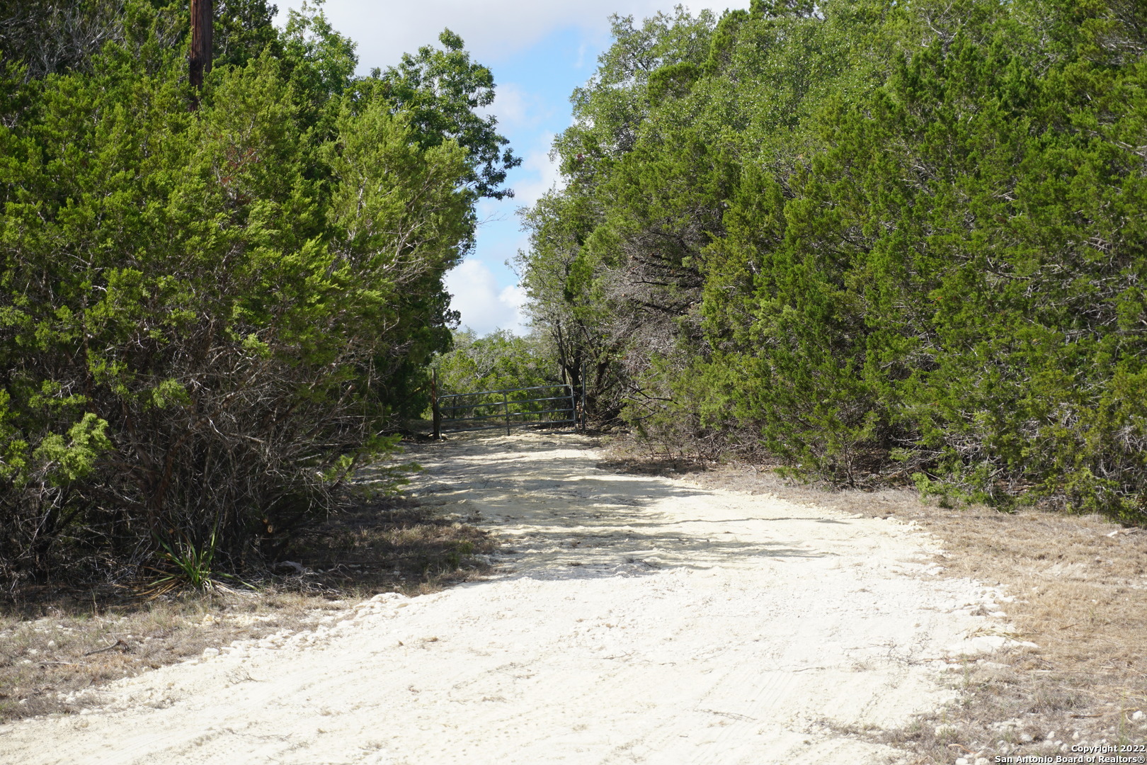 127 Leaders Hill Road Wimberley, TX 78676 - Photo 10 of 43 a view of a yard with trees