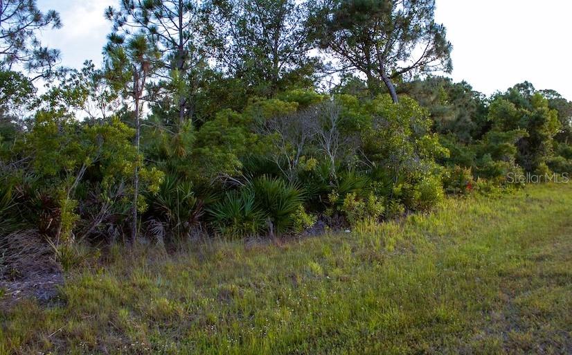 26200 Angelica Road Punta Gorda, FL 33955 - Photo 1 of 1 Gallery Image 1