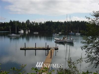 37 Mats View Road Port Ludlow, WA 98365 - Photo 1 of 1 Gallery Image 1