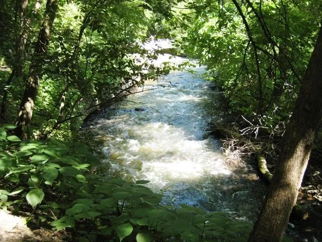 $659,900 | 4212 Nawadaha Boulevard, Minneapolis, MN 55406