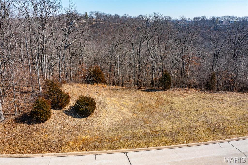 1138 Wings Road St. Albans, MO 63073 - Photo 8 of 9