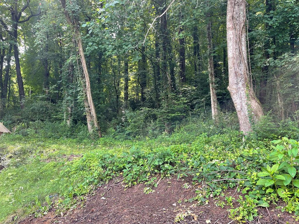 360 Aquone Road Andrews, NC 28901 - Photo 20 of 24 Gallery Image 20