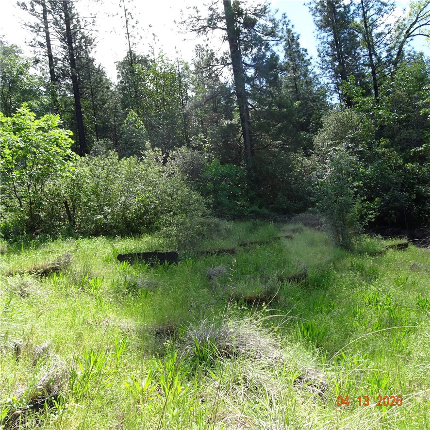 0 Powell Ridge Road Oroville, CA 95966 - Photo 3 of 9