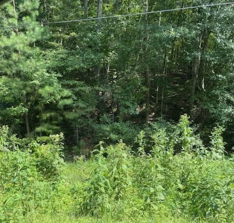 Lot 7 Springdale Road Rockmart, GA 30153 - Photo 1 of 1 Gallery Image 1