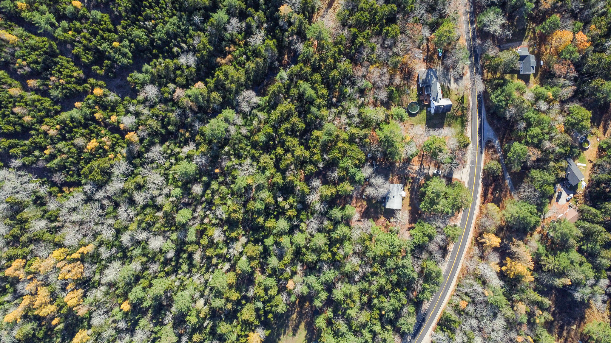 39 Bert Gray Road Sullivan, ME 04664 - Photo 13 of 42 sullivan-46