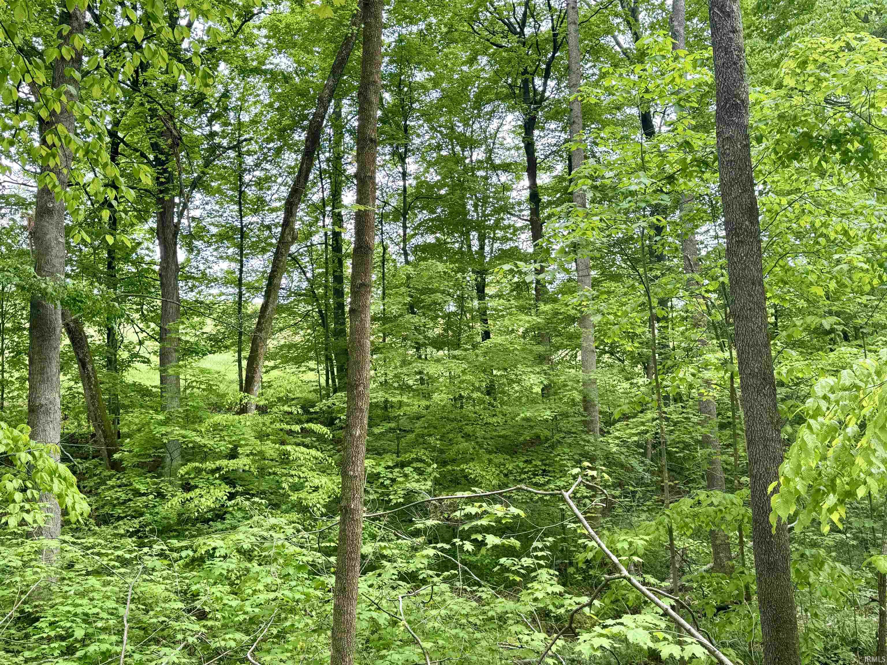 4 East Cuzco Road North French Lick, IN 47432 - Photo 21 of 32