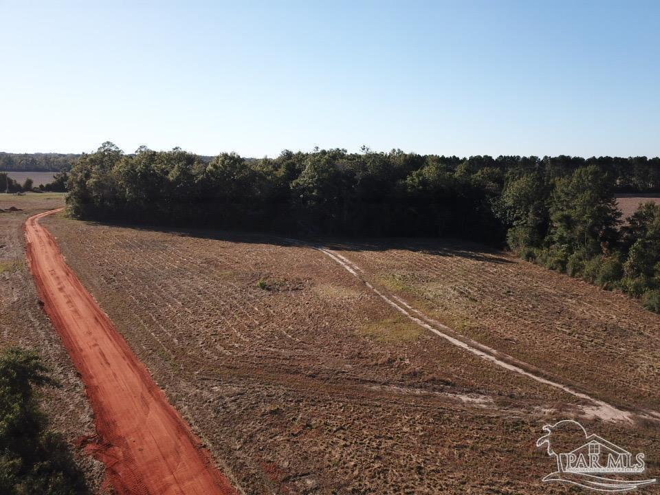 5-acres Ard Field Road Jay, FL 32565 - Photo 4 of 4