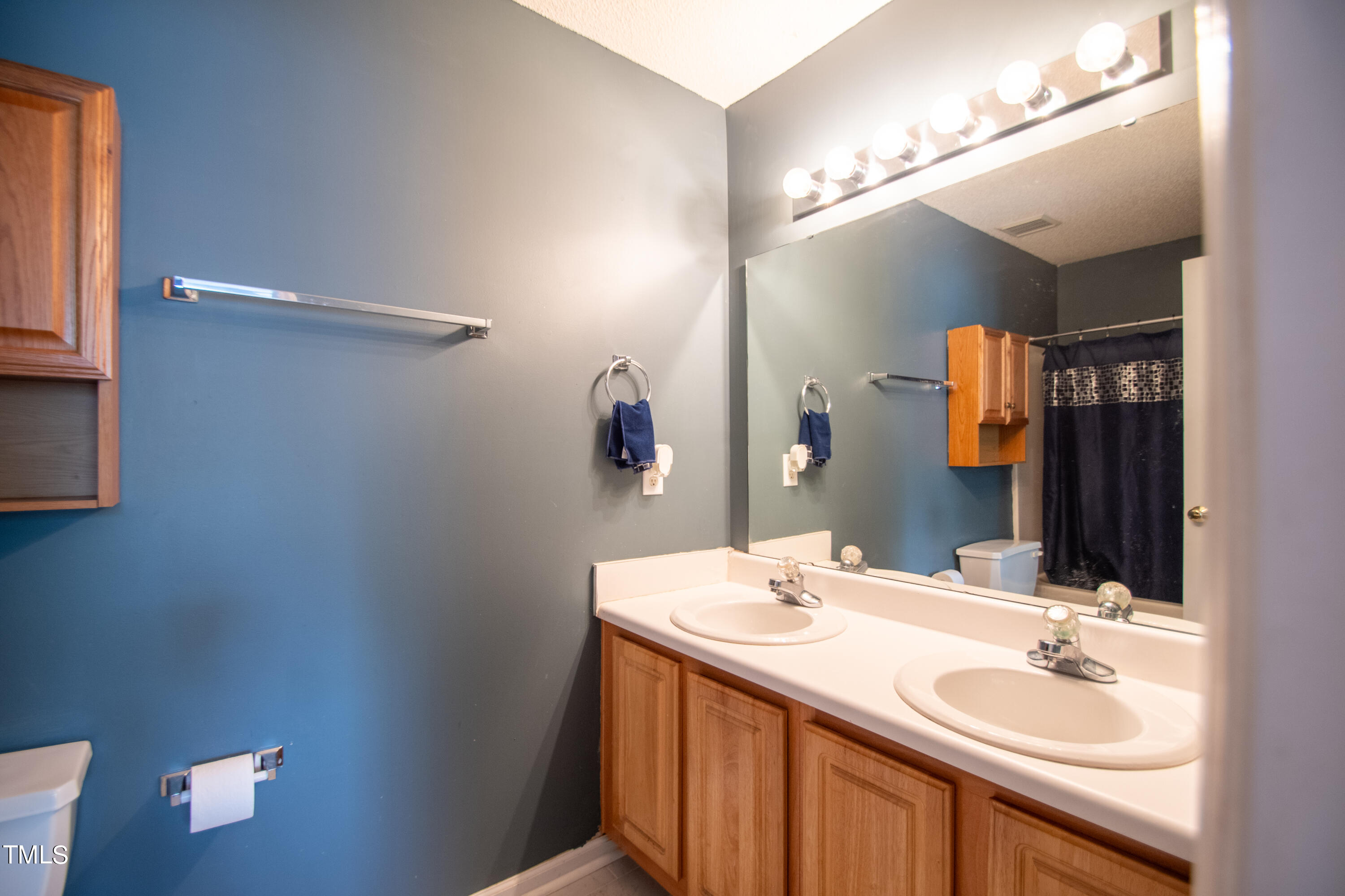 2222 Violet Bluff Court Raleigh, NC 27610 - Photo 16 of 20 Primary bathroom with double vanity