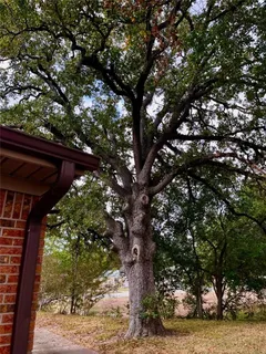 $289,900 | 2600 Arbor Drive, Bryan, TX 77802