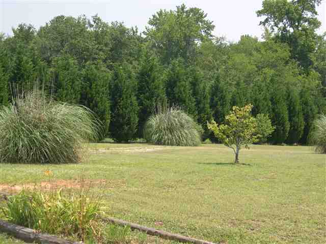 2444 Deck Road Gray Court, SC 29645 - Photo 12 of 13