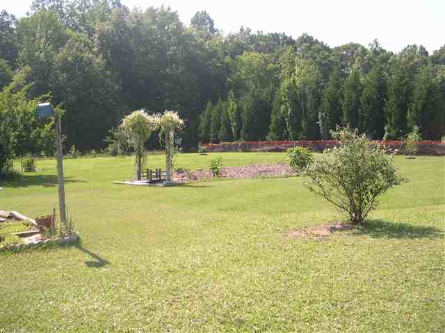 2444 Deck Road Gray Court, SC 29645 - Photo 3 of 13