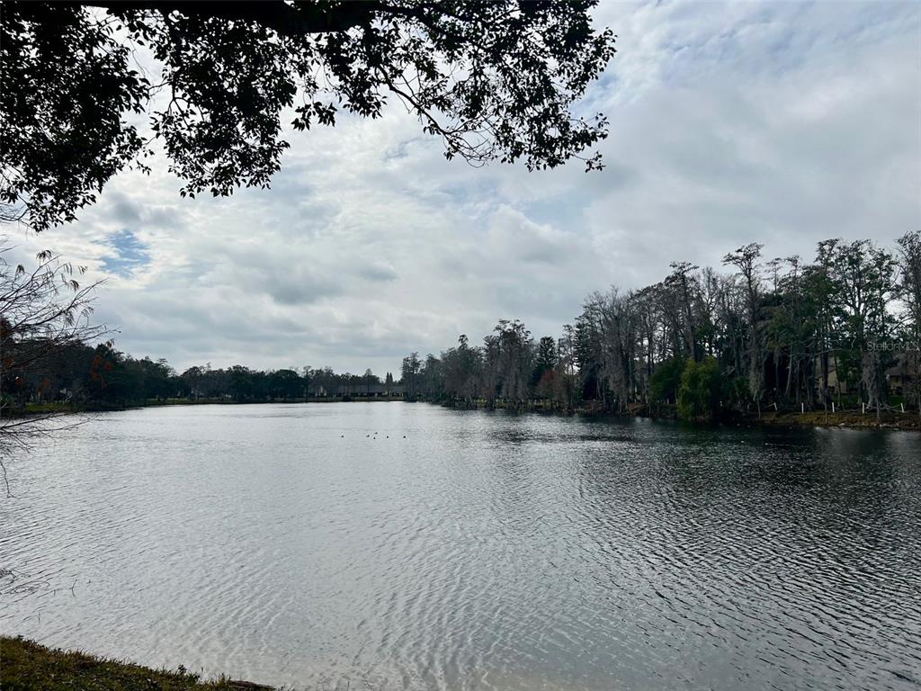 2584 Laurelwood Drive, Unit 15C Clearwater, FL 33763 - Photo 2 of 27